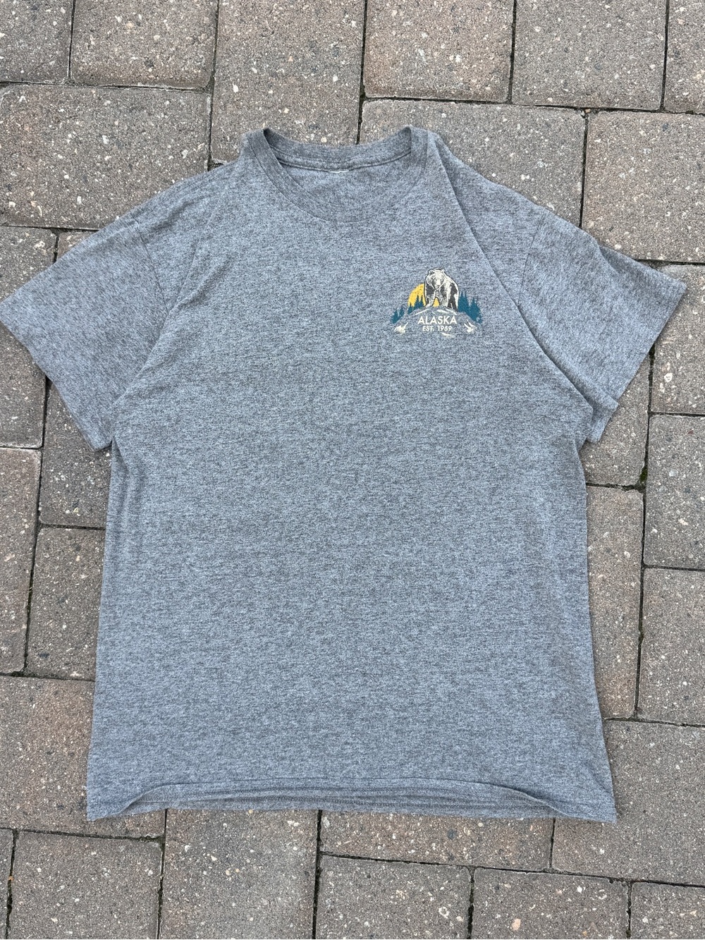 Alaska Bear Mountain Small Logo Graphic T-Shirt Men’s Medium